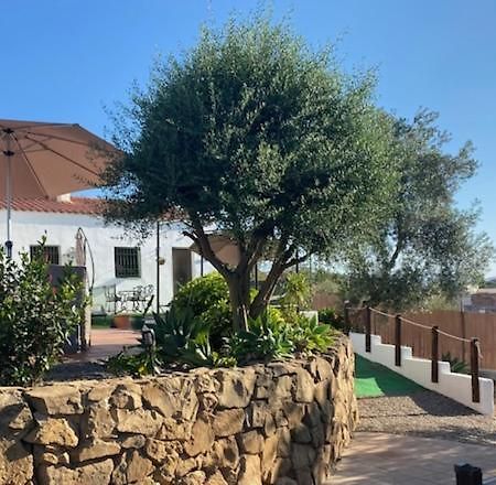 La Casa Palmera - Caminito Del Rey Pizarra Exteriör bild