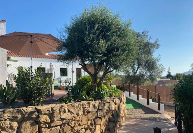 La Casa Palmera - Caminito Del Rey Pizarra Exteriör bild